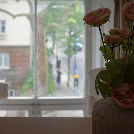 Superb Studios Next To Hyde Park Londres Exterior foto
